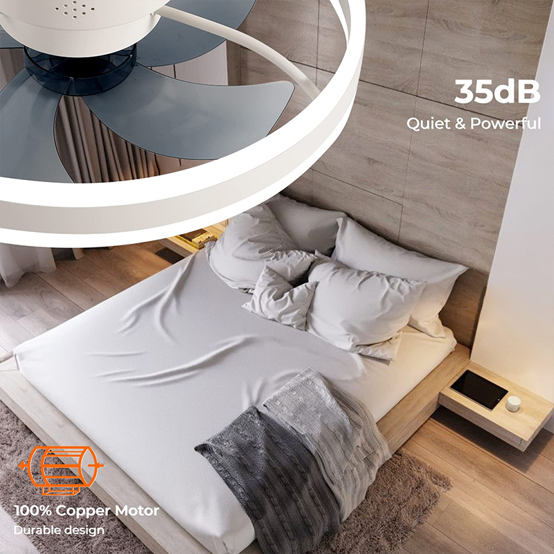 LED Ceiling Light Fan With APP - Home Decor App Free avis et prix